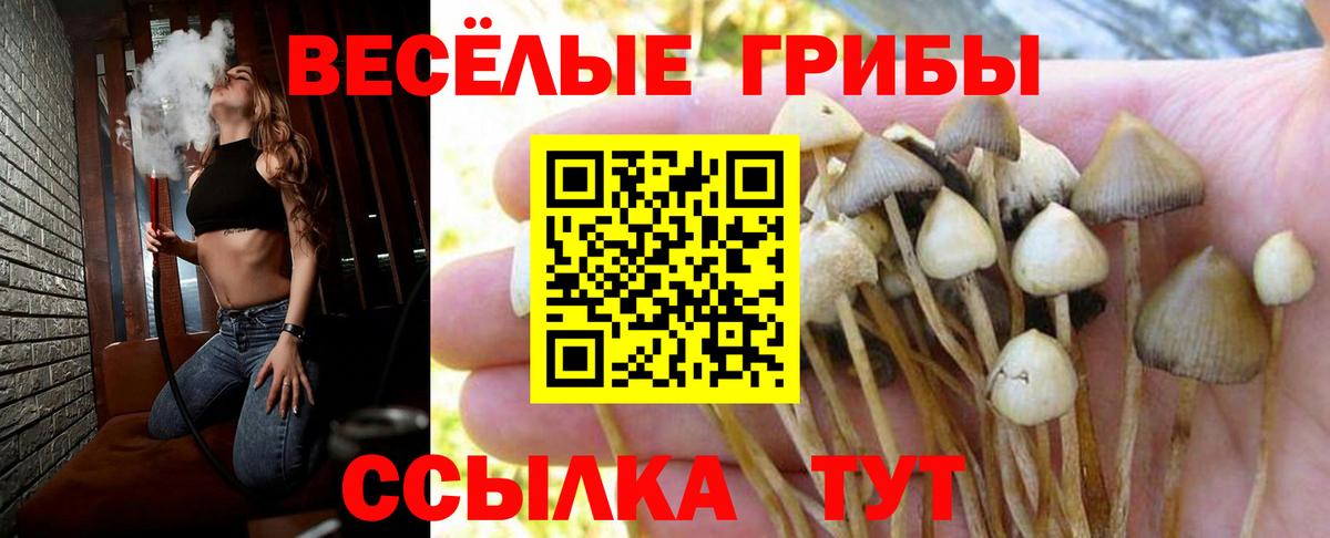 Галлюциногенные грибы GOLDEN TEACHER Зеленодольск